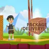 Package Delivery